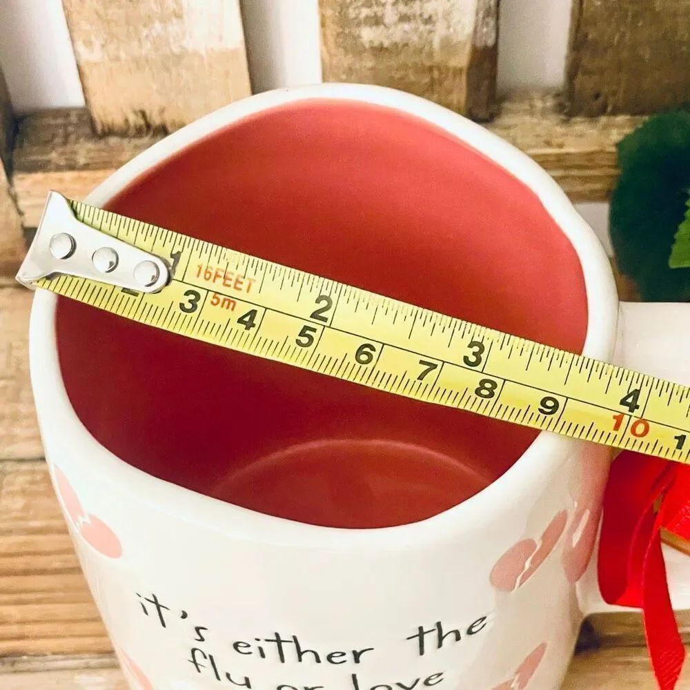 NWT Gorgeous Rae Dunn Peanuts It's either the flu or love Double Sided Pink Mug - Picture 13 of 16